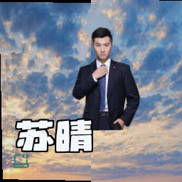 苏晴